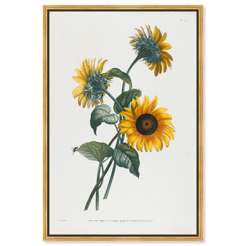 Art Remedy, impressions sur toile, tournesol, Cadre flottant doré, H 46 po x l 31 po