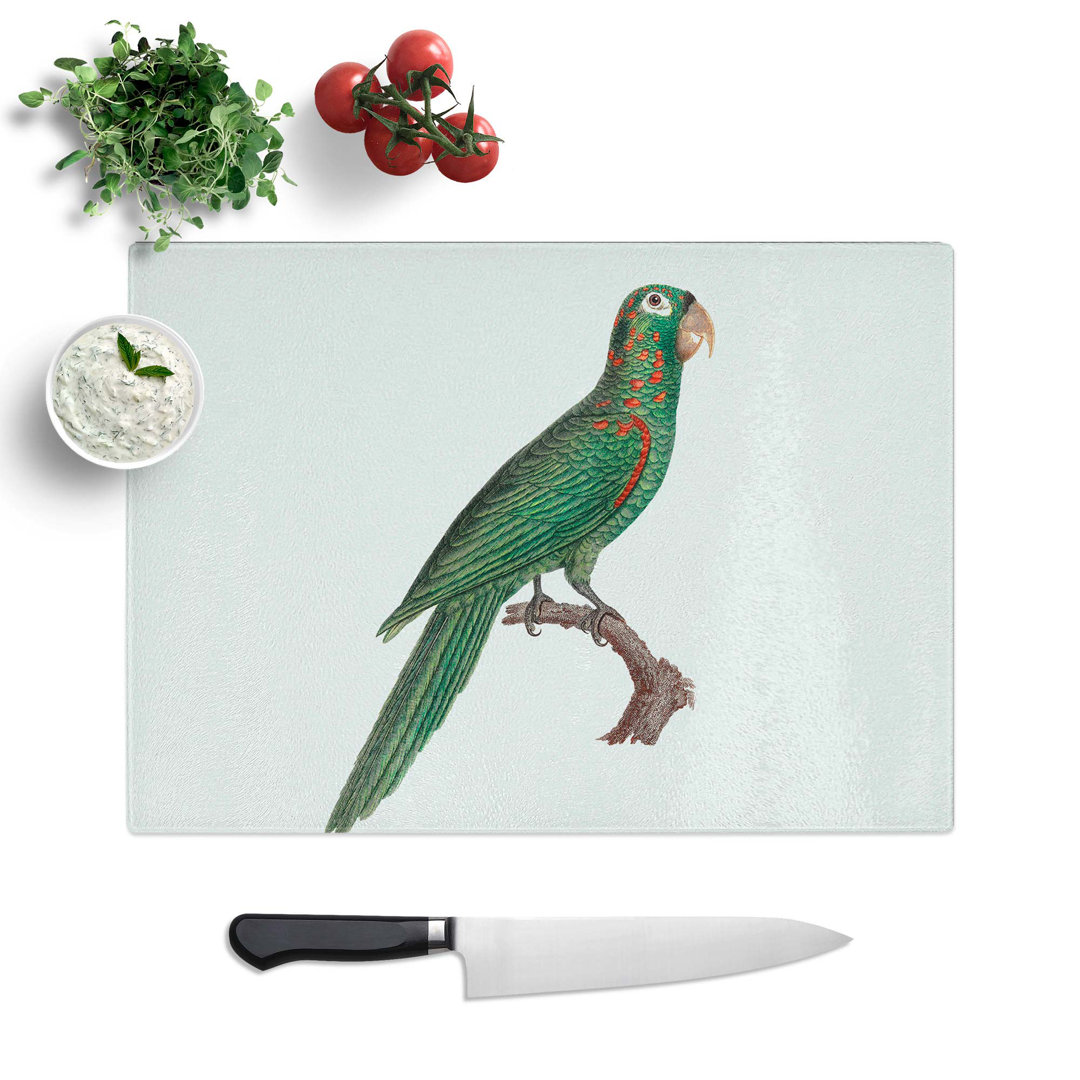 Tempered Glass Amazon Parrot by F. Levaillant Chopping Board