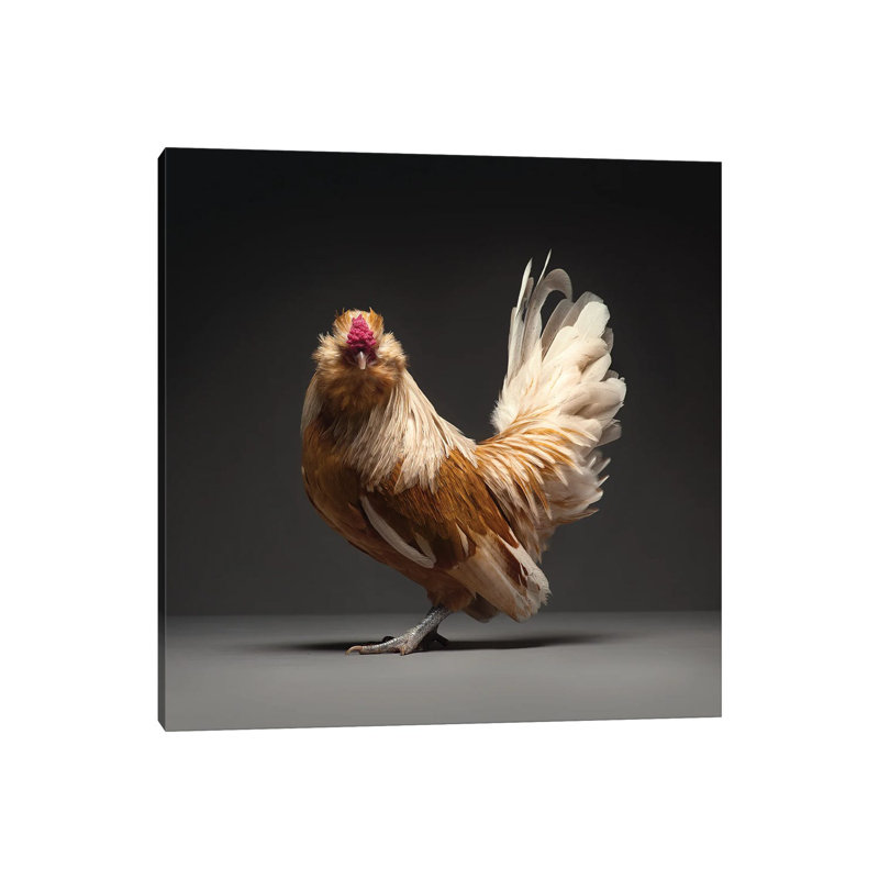 Barbu De Watermael by CHICken - Wrapped Canvas Print, 30.48 cm H x 30.48 cm W