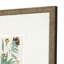 Botanique antique I S / 3