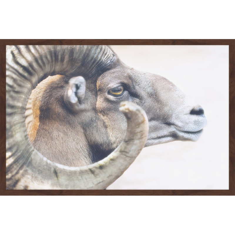 Parvez Taj - Single Picture Frame Print, 61cm H x 91cm W x 3.81cm D