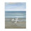 Trois oiseaux de rivage et toile douce vagues, design par Nan