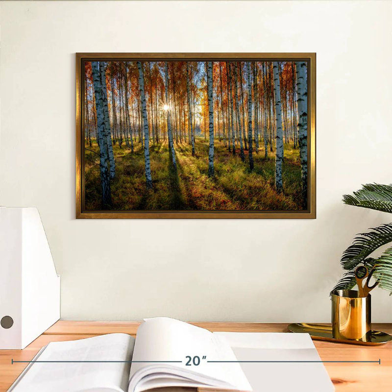 Forêt de bouleaux suédois, Cadre flottant doré, 13 po x 9 po