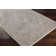 Jazive Oriental Indoor Rug