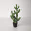 31'' Faux Succulent in Pot