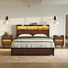 Ensemble de chambre à coucher 3 pièces, lit moderne avec 2 tiroirs et 2 tables de chevet inclinées