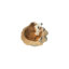 Kalahari Meerkat Out of Hole Statue