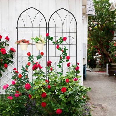 Minns Metal Rustproof Garden Trellis | 78.7" Tall Sturdy Support for Climbing Plants, Roses & Outdoor Flowers