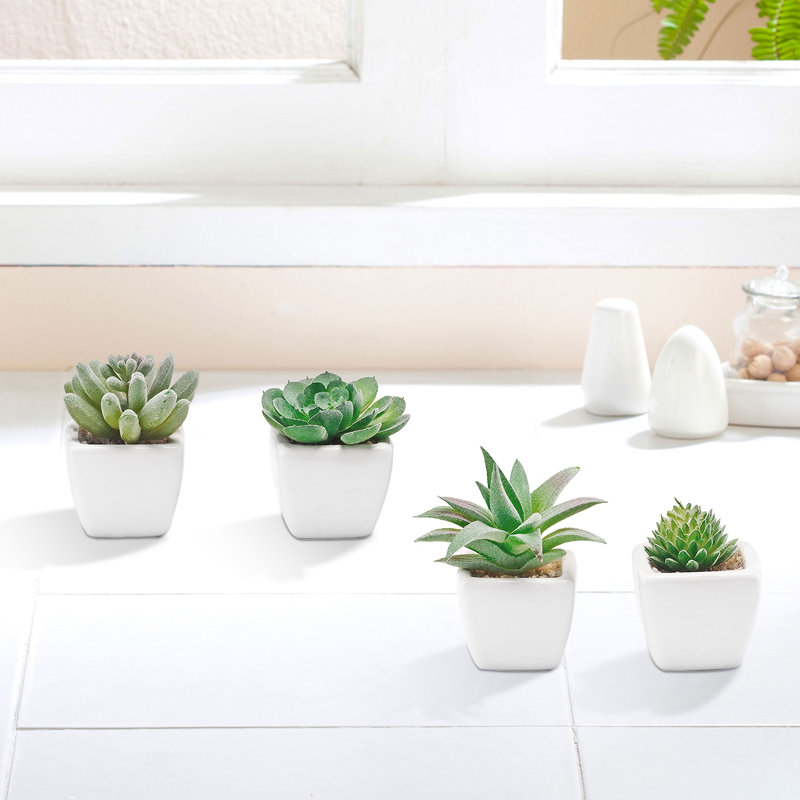 4 - Piece Artificial Succulent in Pot Set