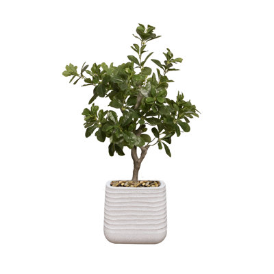 Arbre à fleurs 38,57 po Tung