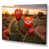 Wrapped Canvas