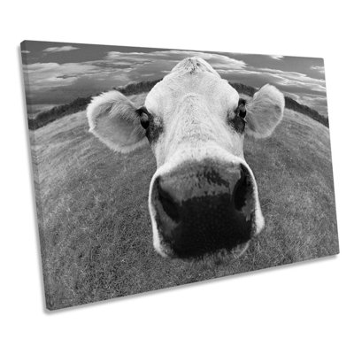 Cow Funky Face Farm B&W - Wrapped Canvas Print