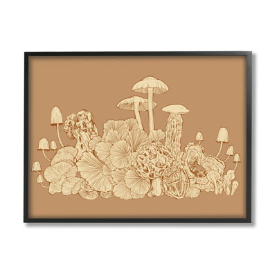 Champignons complexes de la forêt