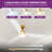 Mercer41 56 Inch Gold Ceiling Fan With Light 3-Blade Modern Smart Reversible Ceiling Fan-896544188