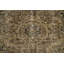 Tapis rétro délavé avec des motifs intemporels et des tons terreux 3 x 4