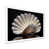 White Single Picture Framed