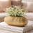 Judah Oval Disc Vase, Carved Timber-Like Texture, Gold Aluminum 16 Inch