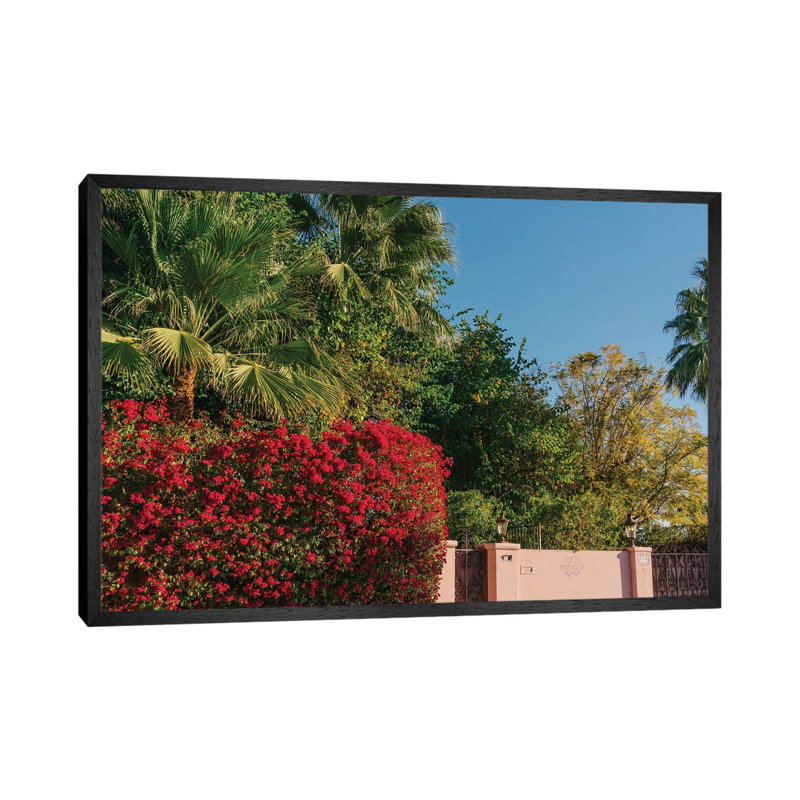 Palm Springs Pink by Bethany Young - Print on Canvas, 45.72cm H x 66.04cm W x 3.81cm D, Black Framed