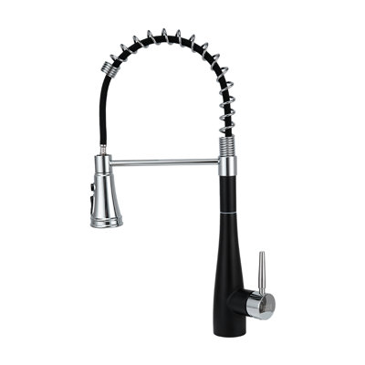 Belfry Kitchen Pull Out Kitchen Faucet