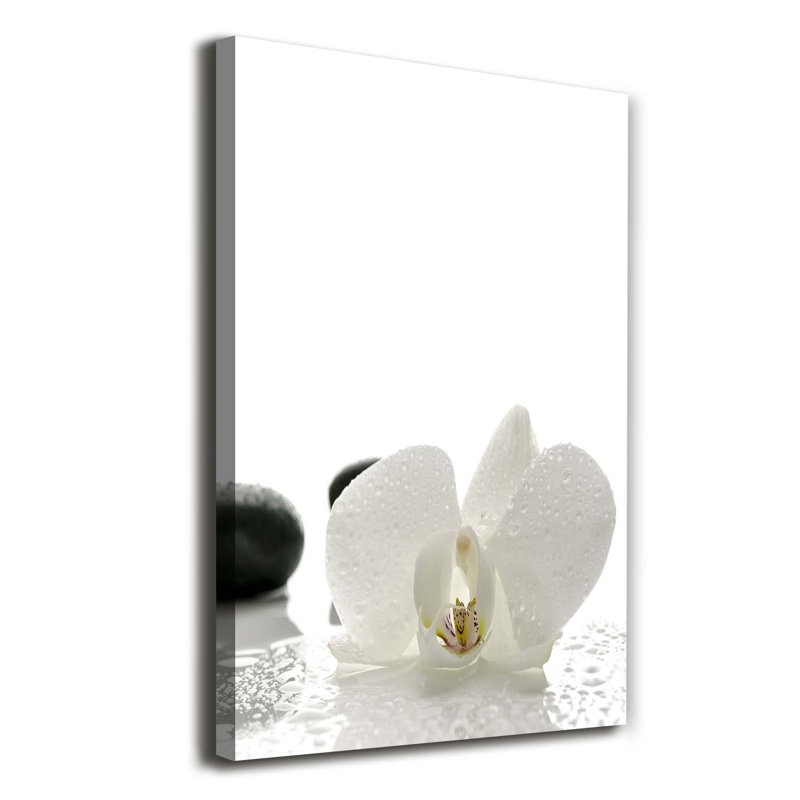 Orchid And Stones - Wrapped Canvas Print