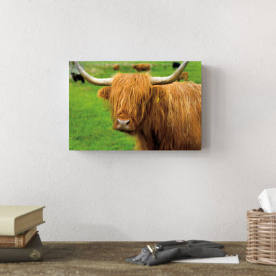 «Scottish Highland Catch I» par Alan Majchrowicz, reproduction de photo sur toile tendue