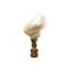 Faiteau de lampe en coquillage naturel-36759292
