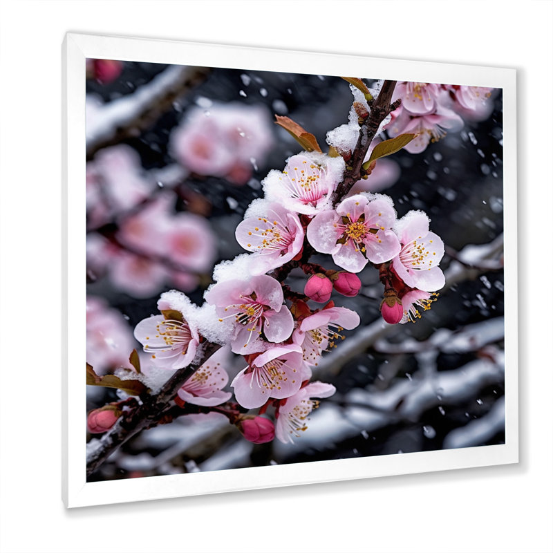 " Cherry Blossom In Winter I ", White Single Picture Framed, 36" H x 36" W x 1.5" D