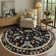 Goldene Animal and Insect Washable Floor Mat - Non-Slip Area Rug