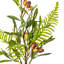 27 plantes