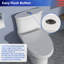 Toilette une pièce Rainlex RX-T38W
