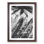Palm Tree Shadows - Framed Print-55577939-55577936