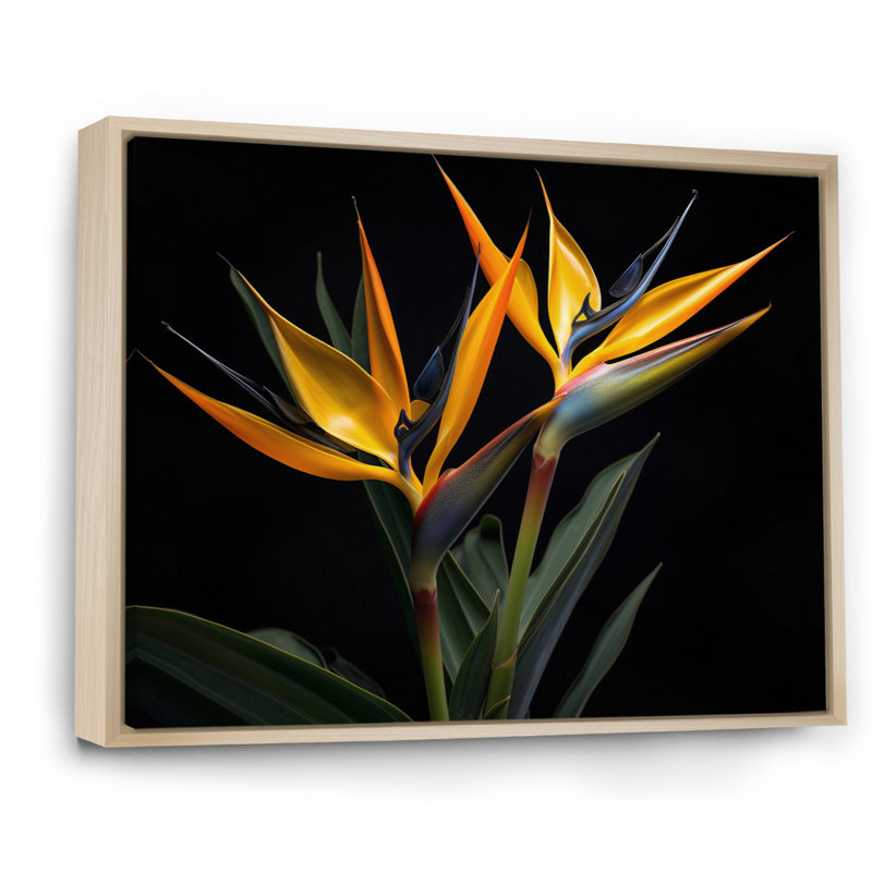 Oiseaux de paradis fleurs I - Art mural oiseaux de paradis, Cadre flottant brun naturel, H 30 po x l 40 po x P 1,5 po