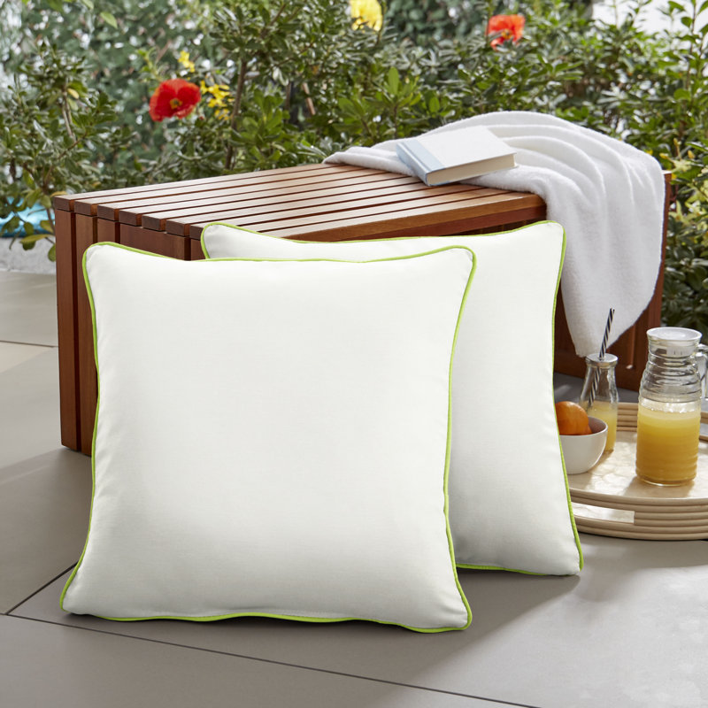 Housse et insert de coussin extérieur d'extérieur, H 20 po x l 20 po x P 6 po, Toile toile Sunbrella® Woodvine