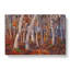 October by Tom Thomson - Wrapped Canvas Painting-61842481