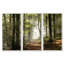 Forêt d'automne verte avec rayons de soleil - ensemble d'art mural sur toile encadré paysage-2128247312-2128247319