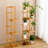 Pharah Plant Stand
