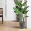 Kozyard pots de fleurs ronds d'intérieur 4Packs avec plateau récupérant l'eau pour le patio-1716788113-1716788116