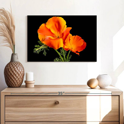Orange Flowers Of California Poppy