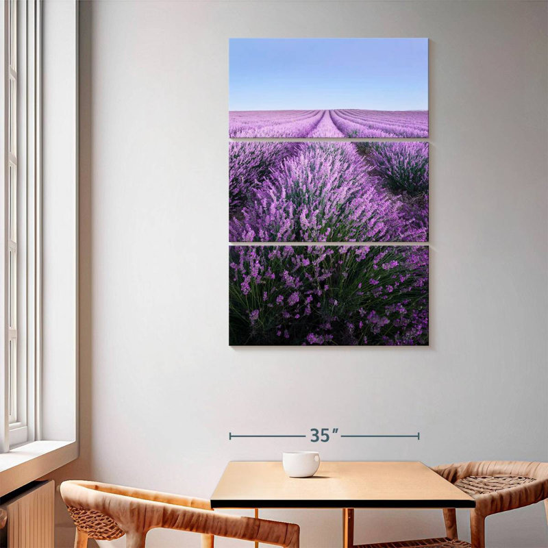 Lavande française Alvord Provence, H 65 po x l 42 po