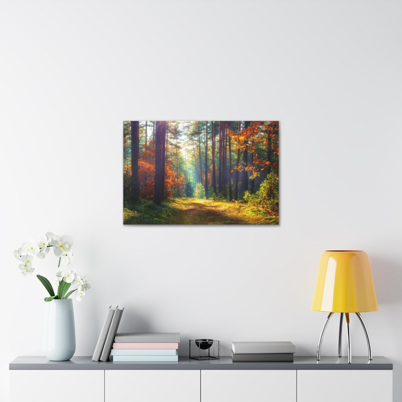 Automne, feuille d'automne, forêt, nature, photographie, art mural, H 24 po x l 30 po