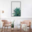 « agave cactus »-impression photographie-49905608-49905610