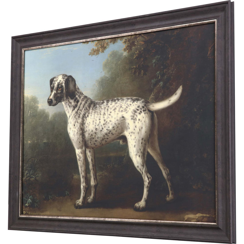 Chien gris tacheté