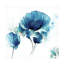 Art sur toile «Bachelor Sasha Sky Poppies Iii»-104104847