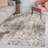 Angilina High-Low Shabby Damask Cream/Beige/Dark Gray Indoor/Outdoor Rug-250030731