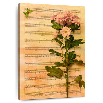 Harnek Chrysanthemum Melody