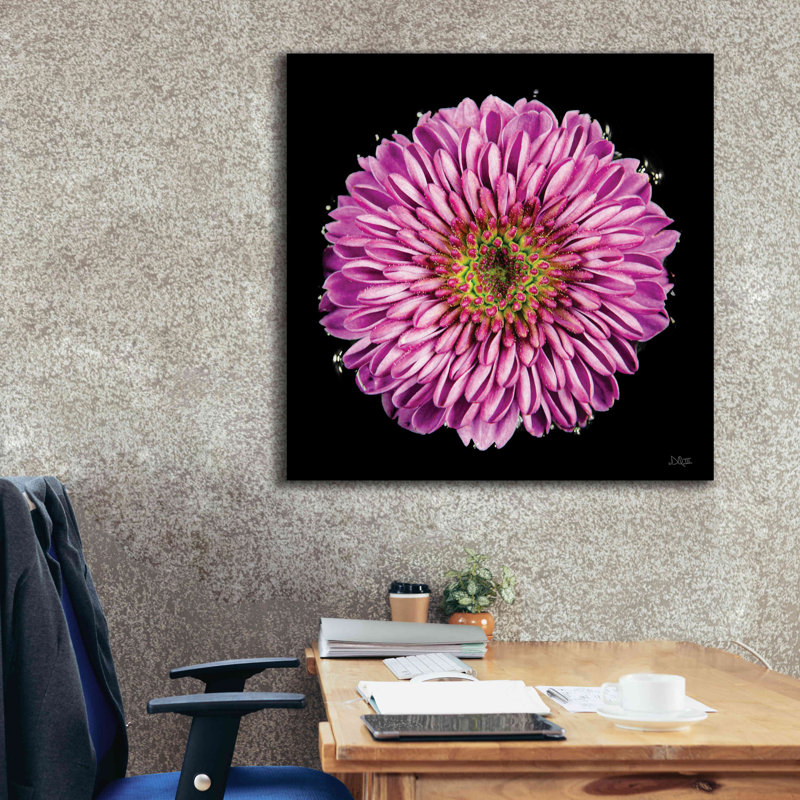Mauve dégradé par Donnie Quillen, H 37 po x l 37 po x P 1,5 po