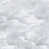 Pale Grey