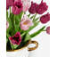 Polyethylene (PE) Tulip Arrangement in Vase