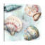 « sea shells »-impression sur toile tendue-23682670