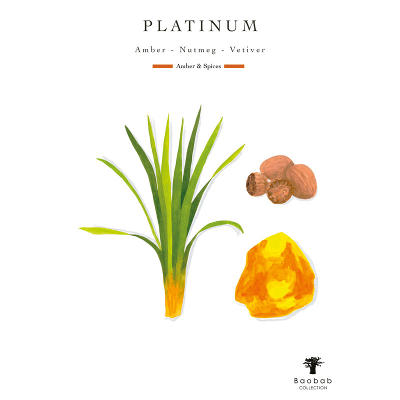 Les Exclusives Platinum, 13.8" H x 9.36" W x 9.36" D